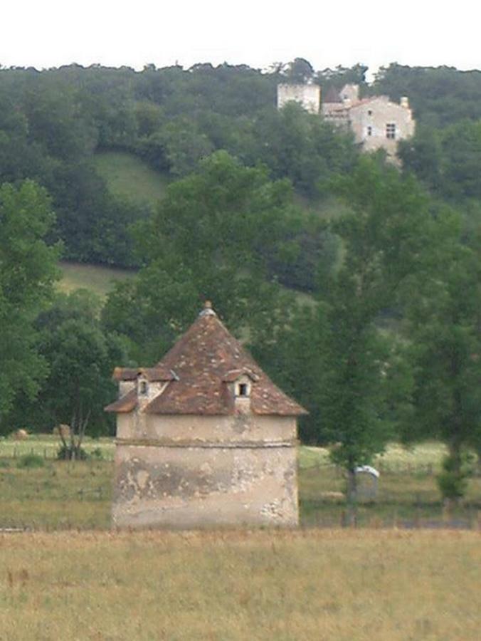 Hotel Le Relais Du Chateau Grignols  Exteriér fotografie