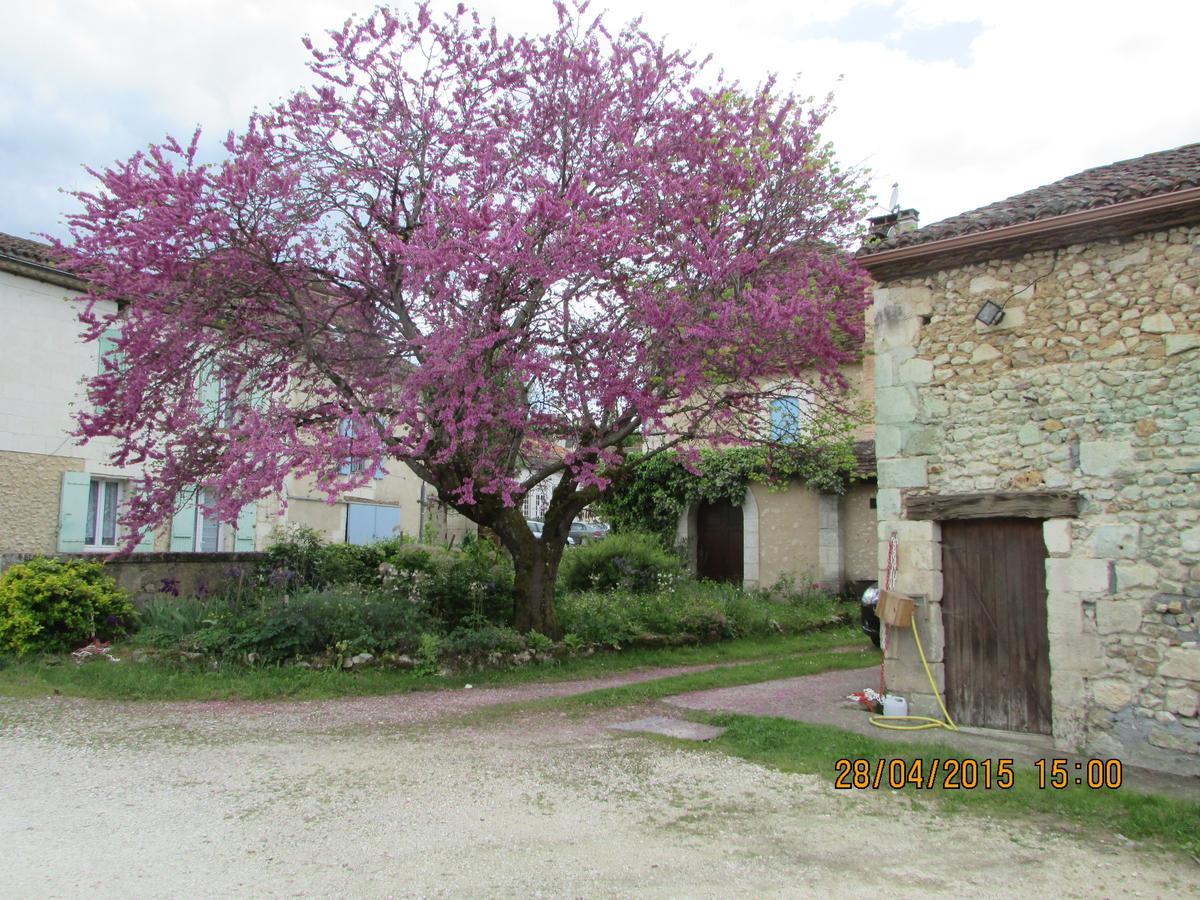 Hotel Le Relais Du Chateau Grignols  Exteriér fotografie